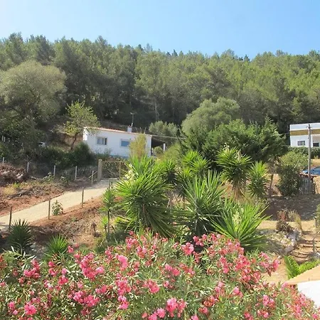 Casa Do Avo Teixeira *